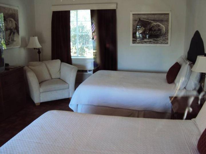 La Siesta Motelツーソン 部屋 写真