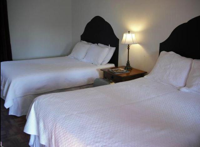 La Siesta Motelツーソン 部屋 写真