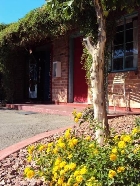 La Siesta Motelツーソン エクステリア 写真